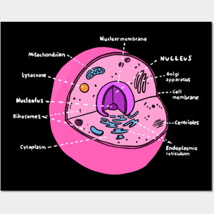Cell (Biology Poster) Posters and Art